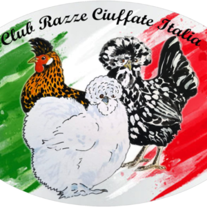 club-razze-ciuffate