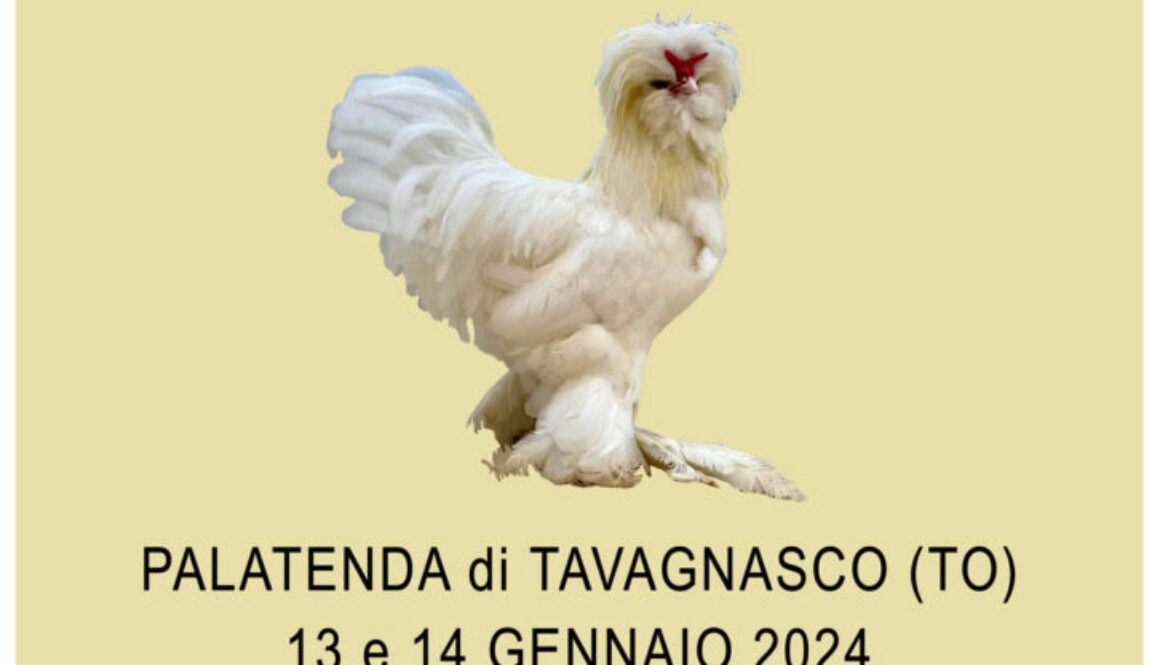 MostraAvicola2024