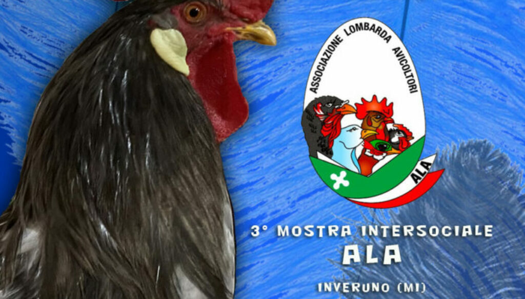 Inveruno9-10-24