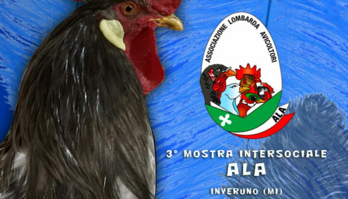 Inveruno9-10-24